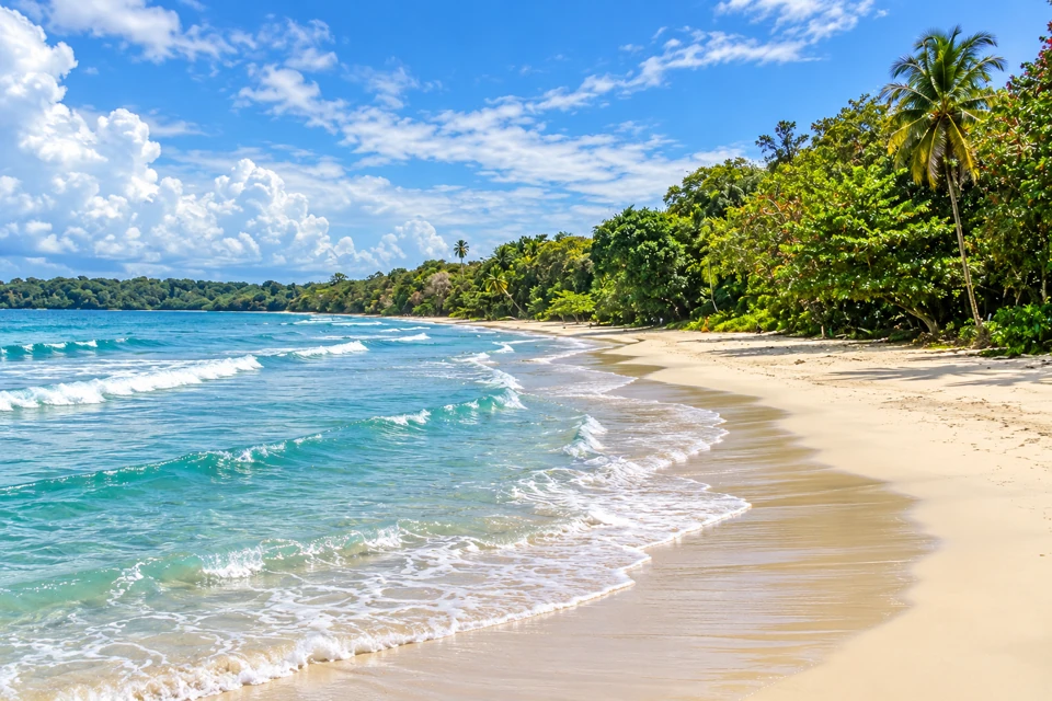 Small waves wash Playa Blanca beneath the forest and palms of Cahuita's Caribbean coastline.