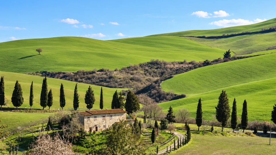 A cypress-lined country road, stone farmhouse and green agricultural hills near Monticchiello in the Val d'Orcia.