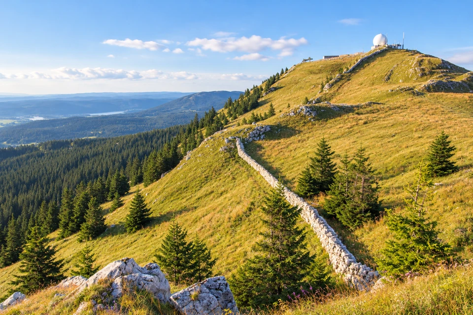 La Dole's rounded grassy Jura ridge, pale dry-stone wall and white radar dome above conifer-covered slopes.