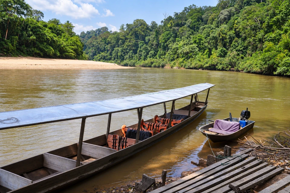 Empty covered wooden boat beside the brown river and rainforest at Kuala Tahan, Taman Negara.