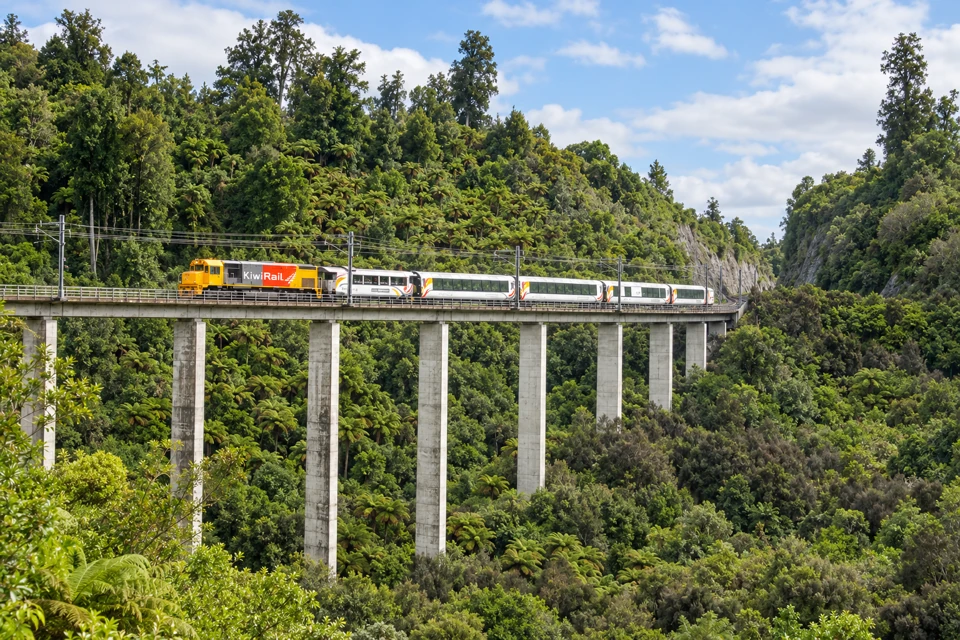 The Northern Explorer crosses the curved concrete Hapuawhenua Viaduct above dense native forest and tree ferns.