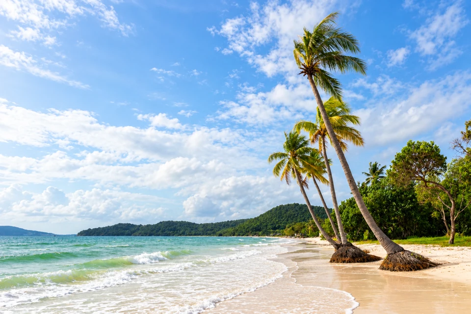 Leaning coconut palms beside the white sand and pale turquoise water of Bai Sao on Phu Quoc