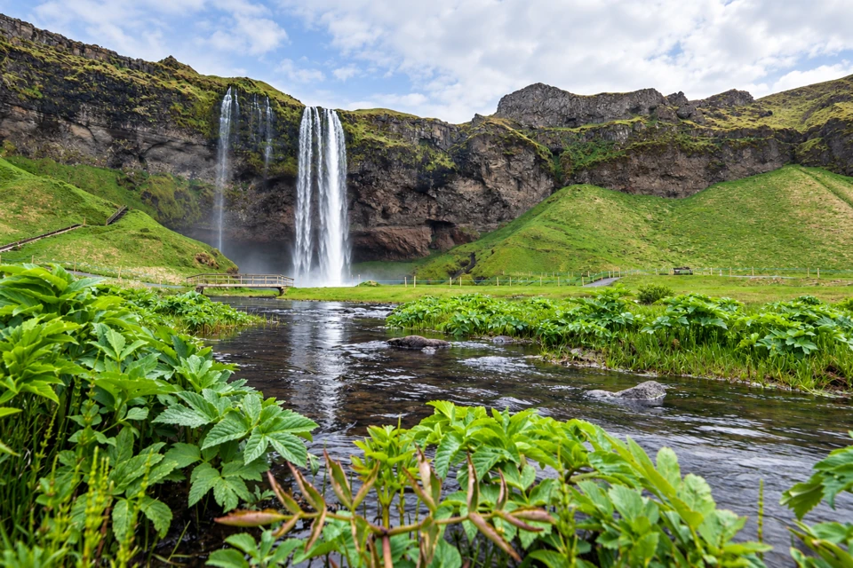 Seljalandsfoss's narrow falling water curtain descends in front of a dark cliff recess, with a footbridge, green slopes and stream in the foreground.
