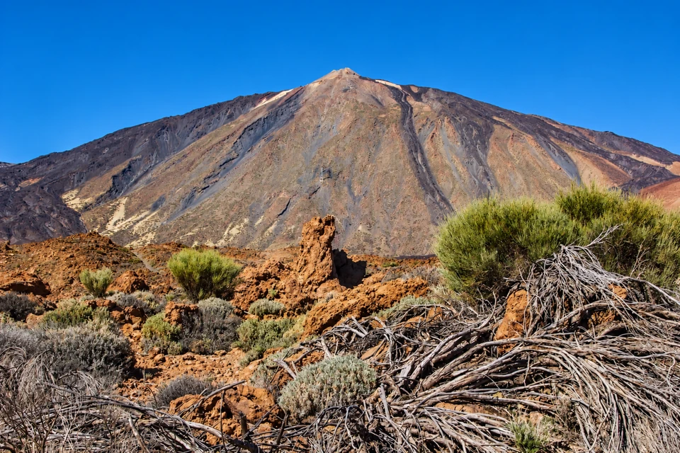 The broad cone of Mount Teide rises over dark lava streaks, orange volcanic rocks and sparse shrubs beneath a clear sky.